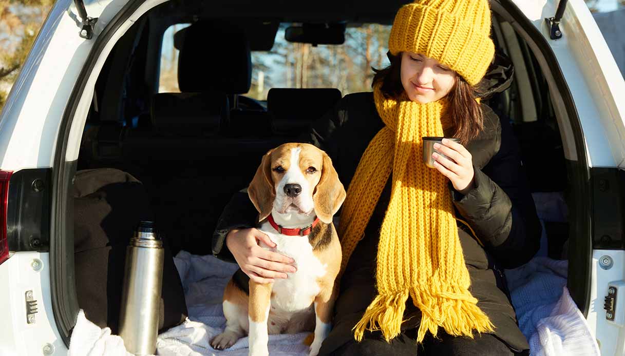 Come partire con gli animali domestici in inverno