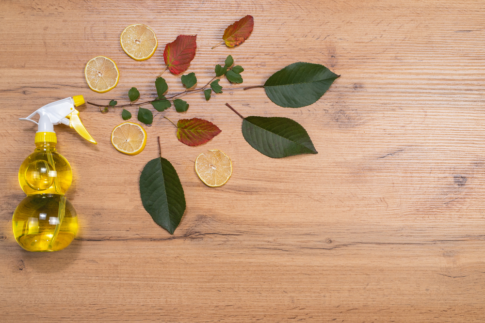 6 motivi per usare l'aromaterapia per le pulizie di casa