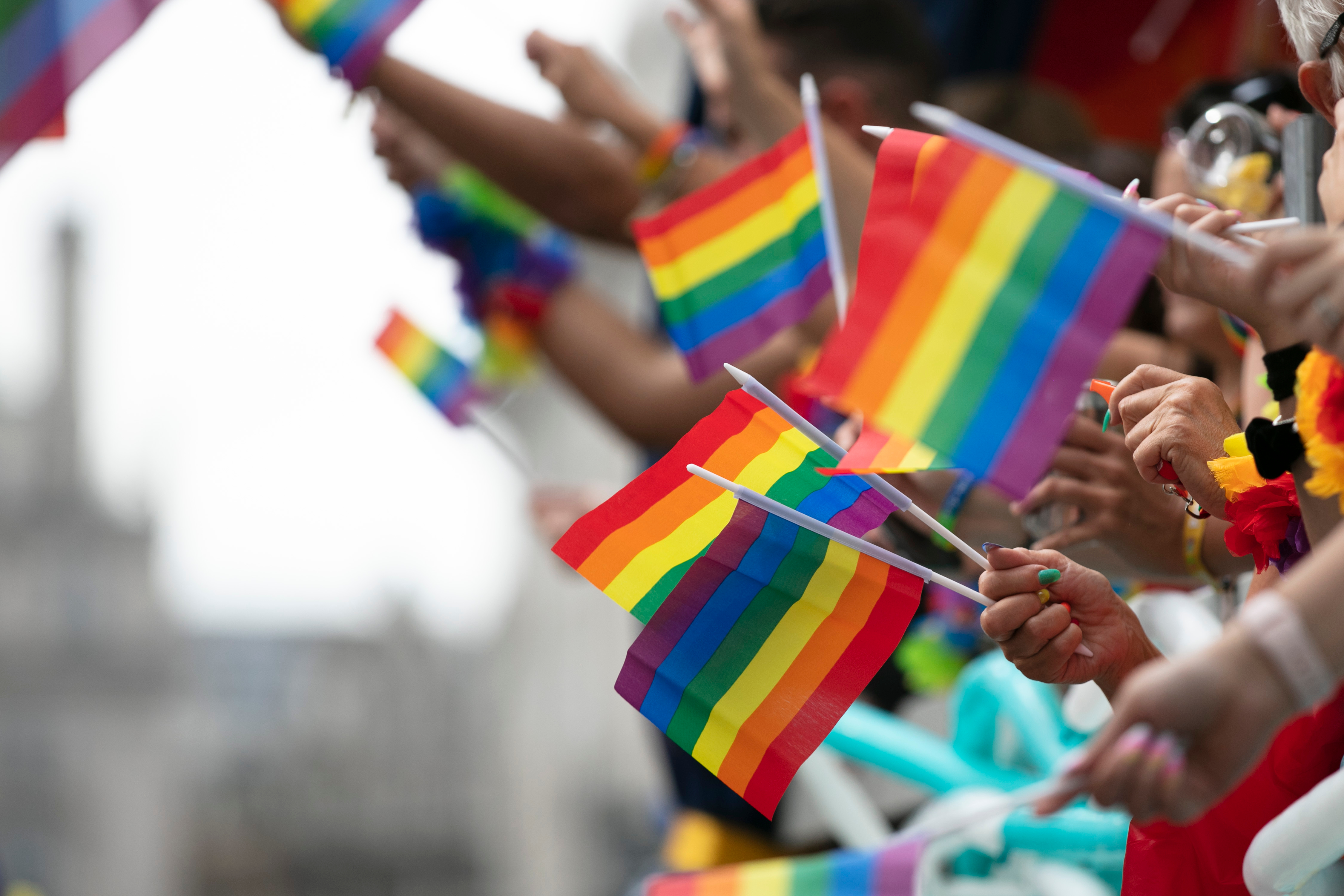 Le bandiere LGBTQIA+ e il loro significato: la guida