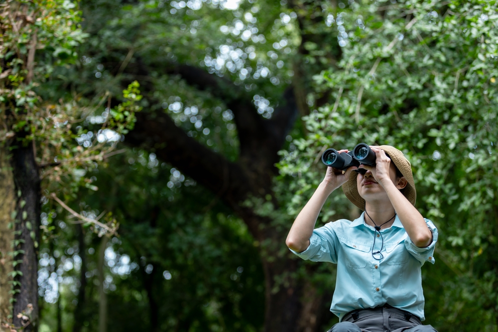Dallo smartphone al cielo: come il Birdwatching è diventato un  trend