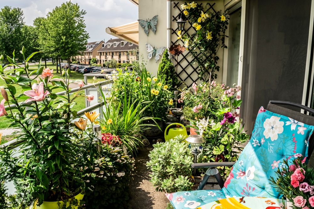 Come posso rendere il mio balcone più verde? La guida per i principianti