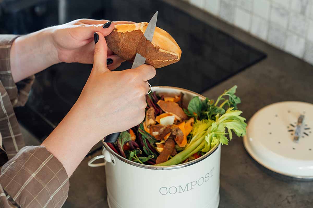 Compostaggio domestico in autunno: 4 consigli