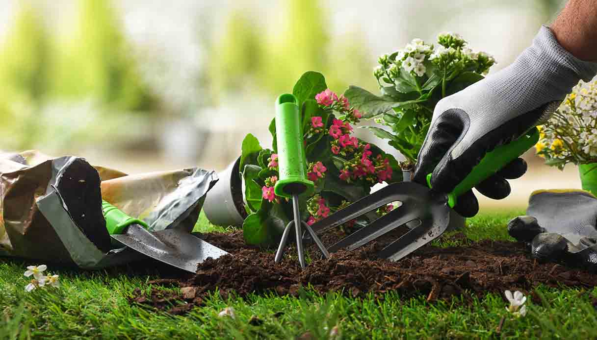 Gli errori che non dobbiamo più commettere quando facciamo giardinaggio in primavera