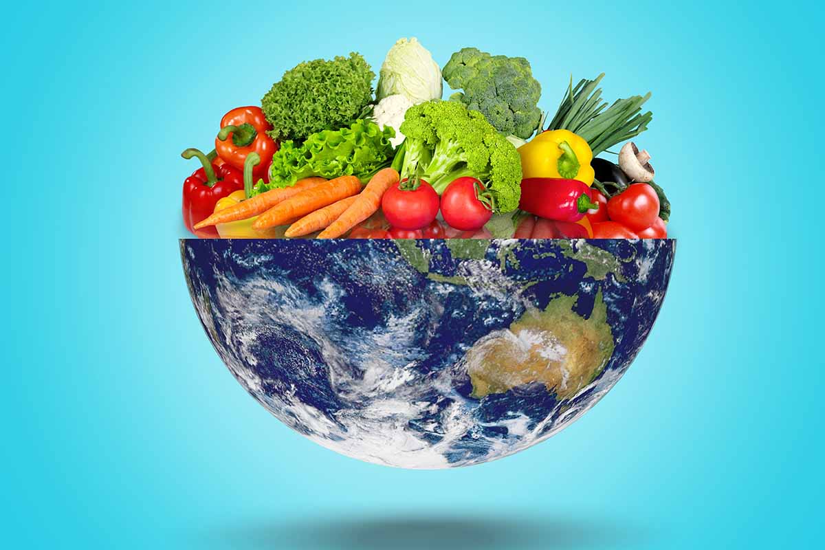 Giornata Mondiale dell’Alimentazione 2025: qual è il tema