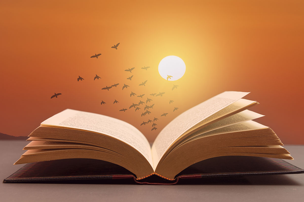 6 libri sulla pace da leggere assolutamente