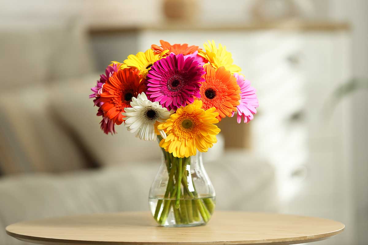 Come prendersi cura dei mazzi di fiori recisi