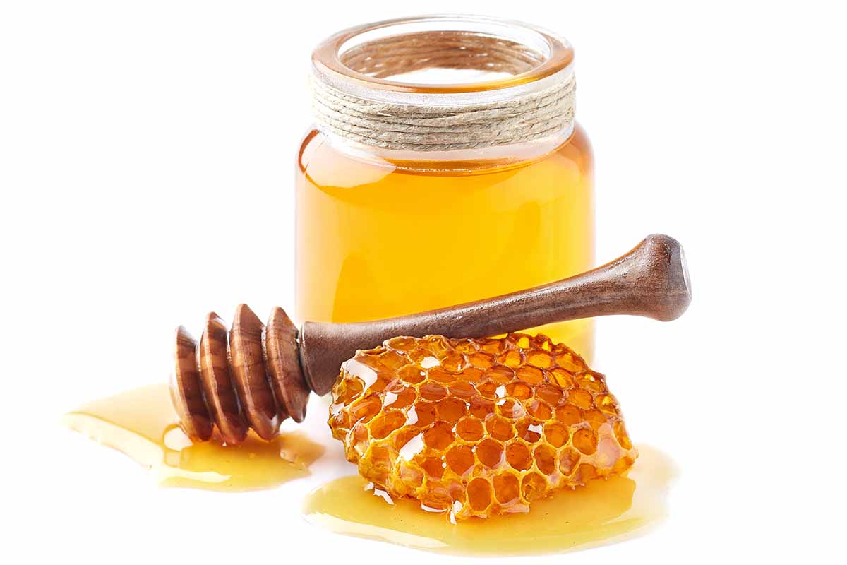 Miele: varietà, proprietà e ricette