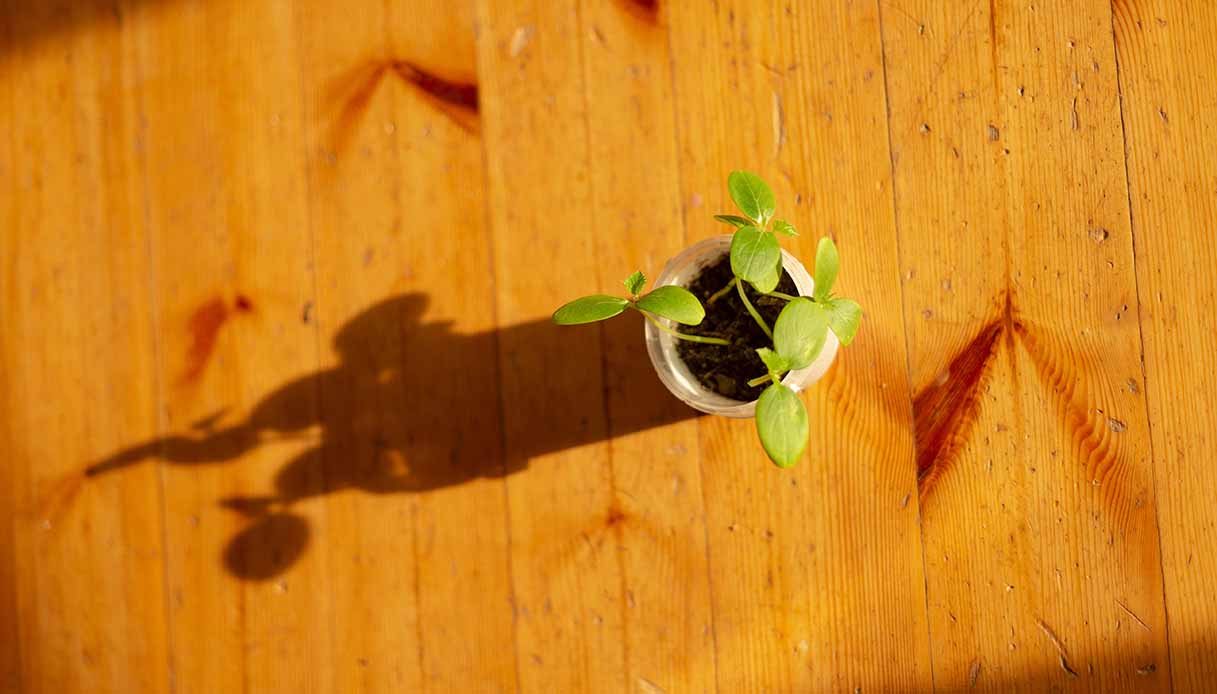 Perché il minimalismo sostenibile dovrebbe essere il nostro stile di vita