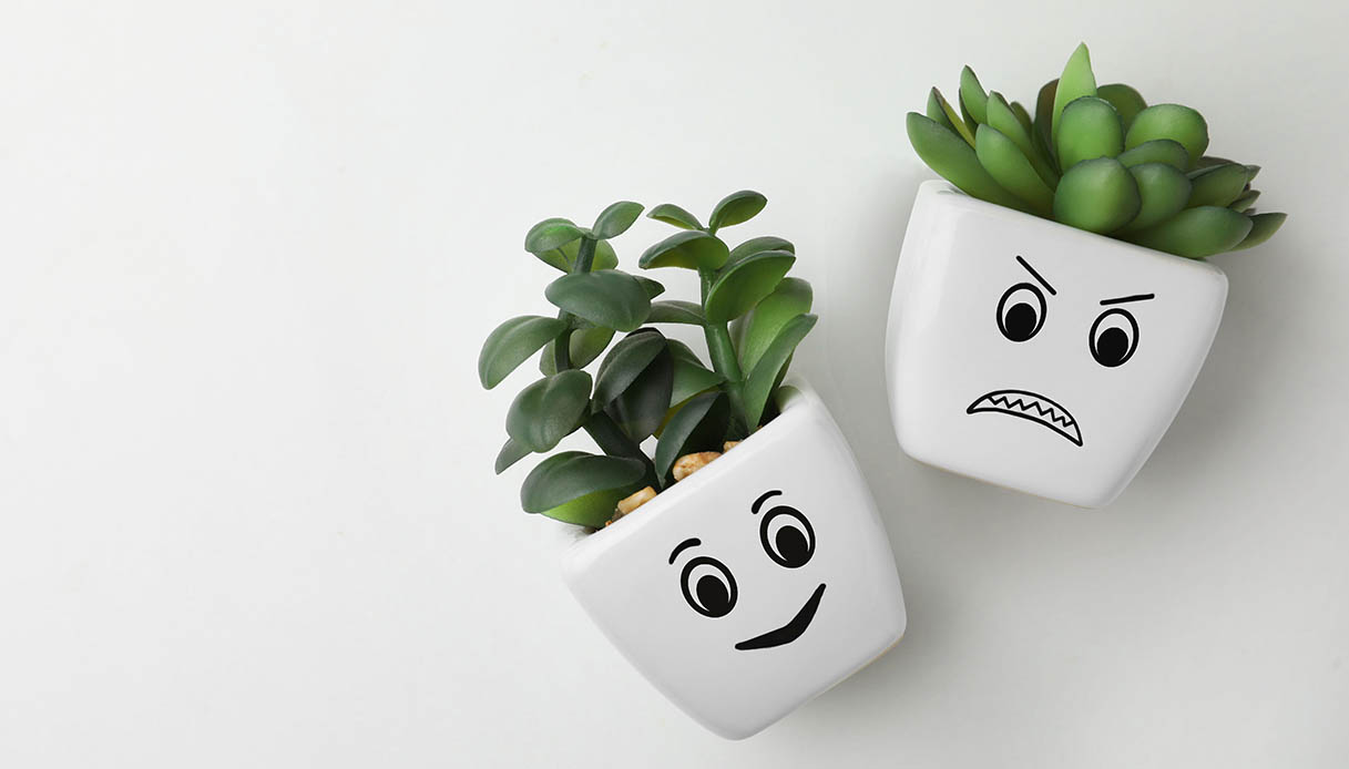 Gli oggetti di casa da buttare per eliminare la negatività