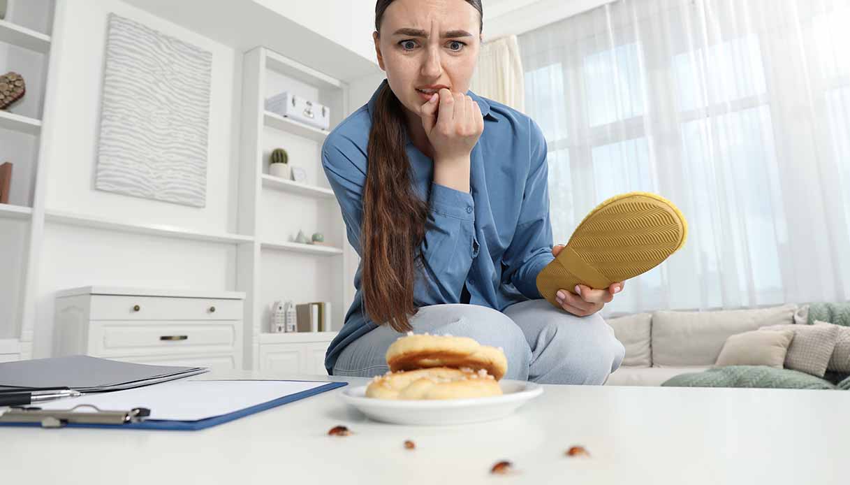 Cosa attira i parassiti in casa: attenzione a queste 7 cose