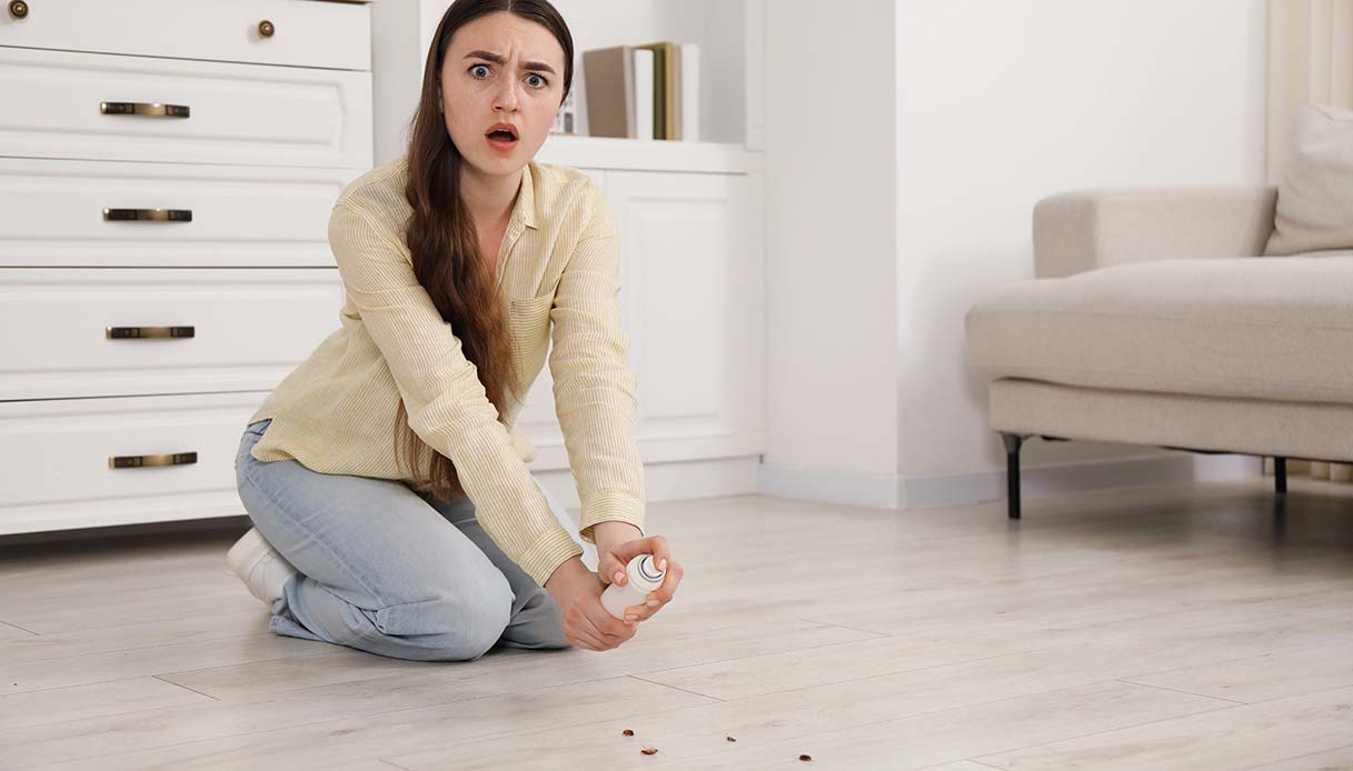 Quali sono i parassiti domestici più comuni?