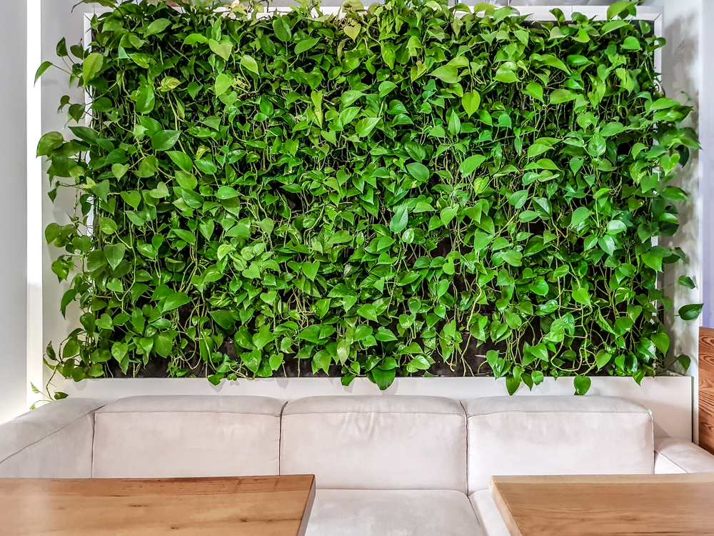 Parete verde indoor: perché sceglierla e come realizzarla
