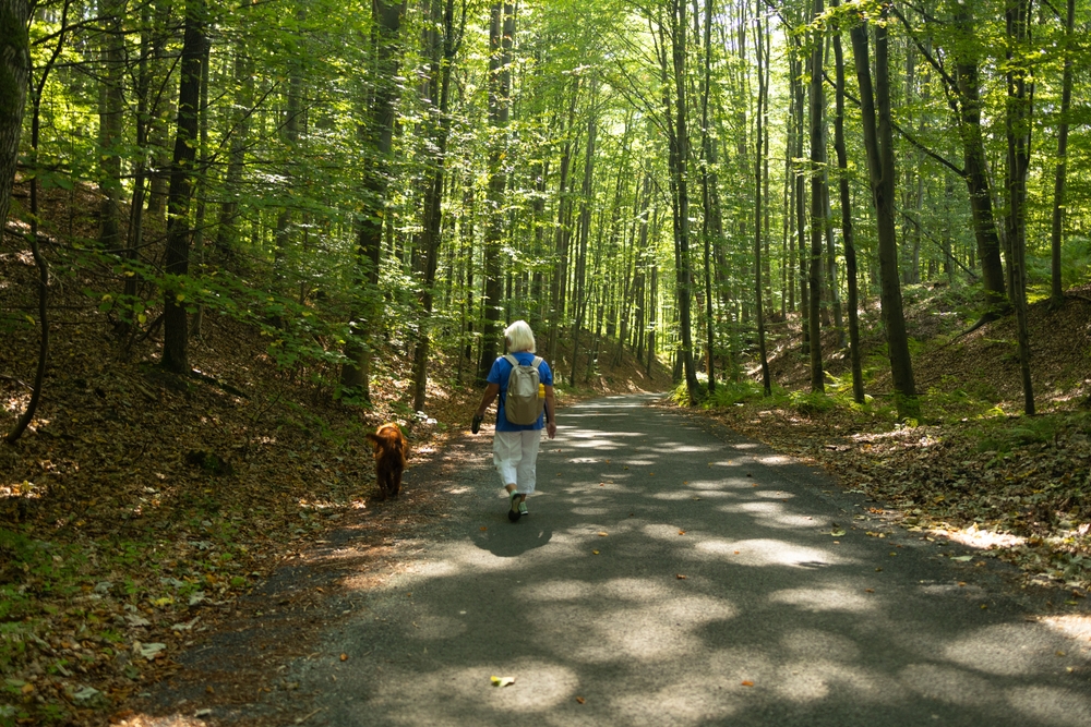 Passeggiata nel bosco innevato: consigli per fare un po' di attività all'aria aperta