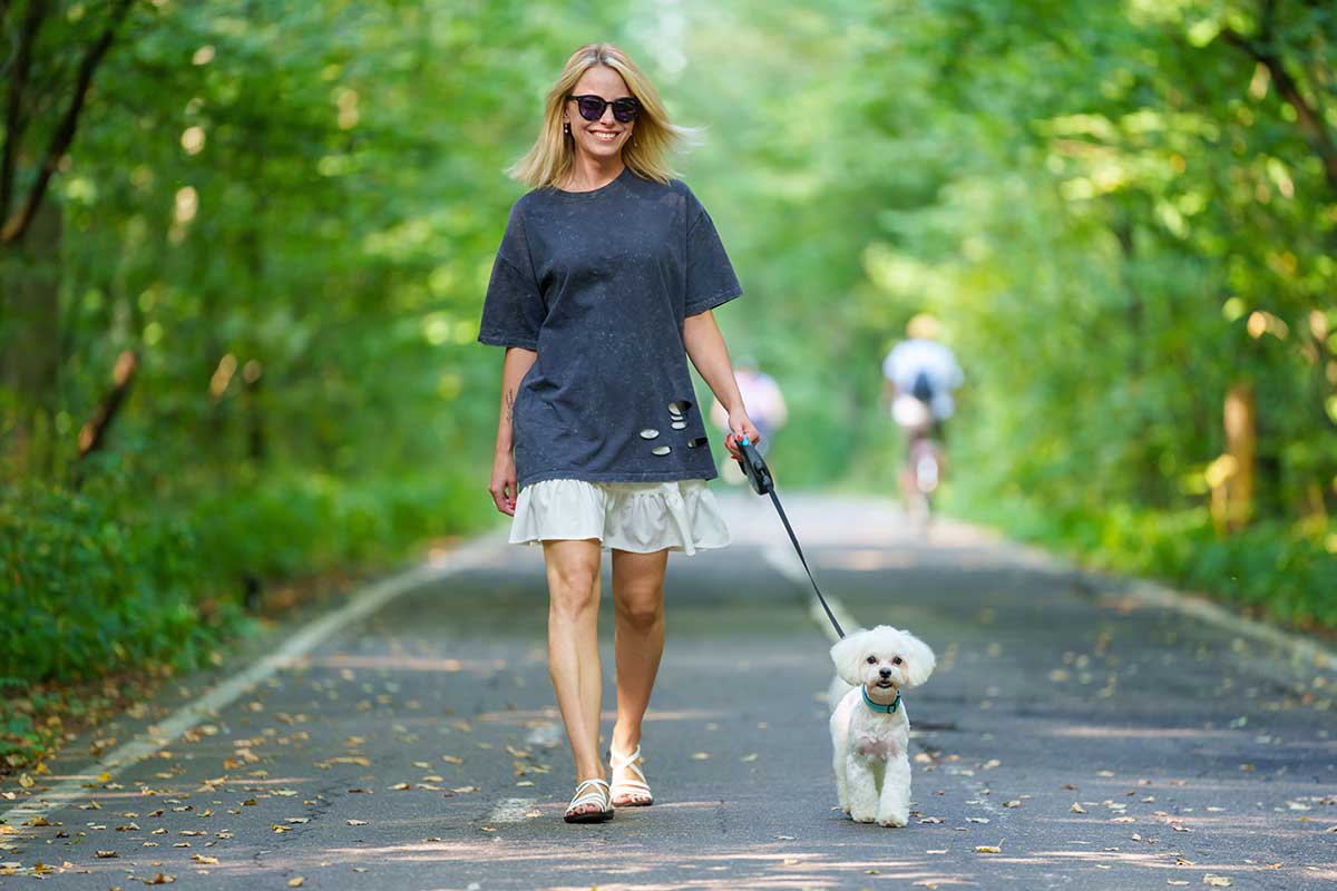 Passeggiate con il cane in estate: 7 cose da sapere