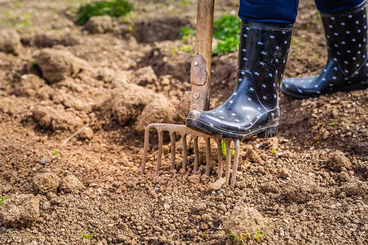 Come preparare il terreno per il gelo invernale