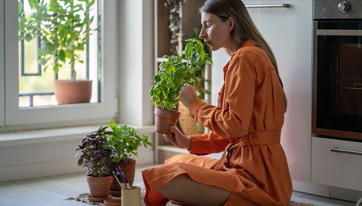 Come profumare casa naturalmente: 10 rimedi da tenere a mente