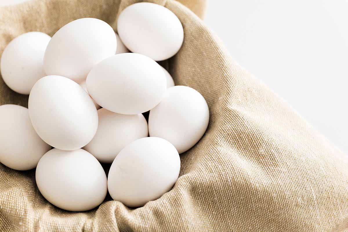 10 ricette con uova avanzate che abbiamo provato con successo