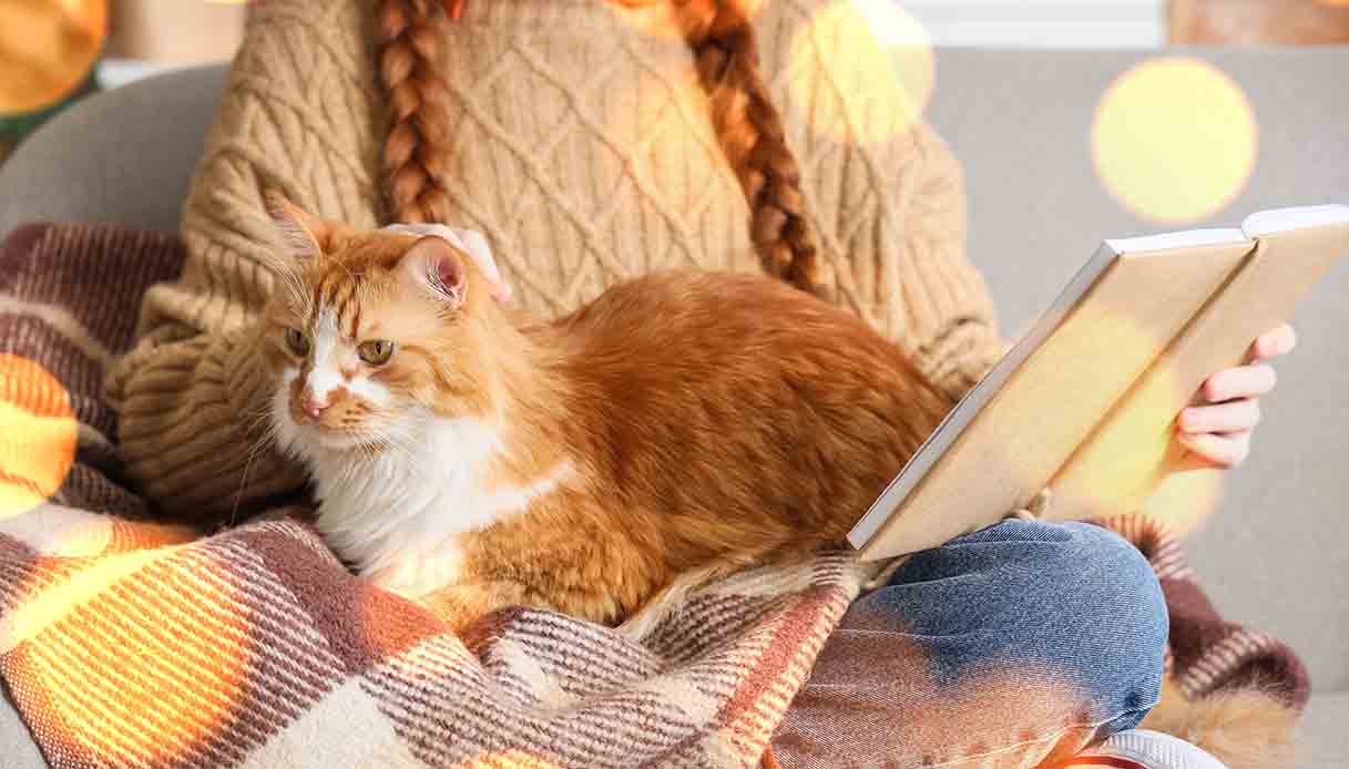 7 romanzi rilassanti per le serate invernali