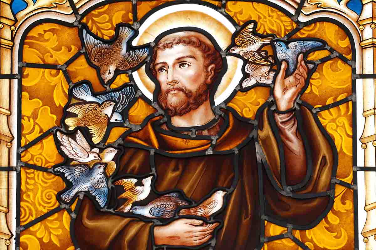 Perché San Francesco è il patrono degli animali?
