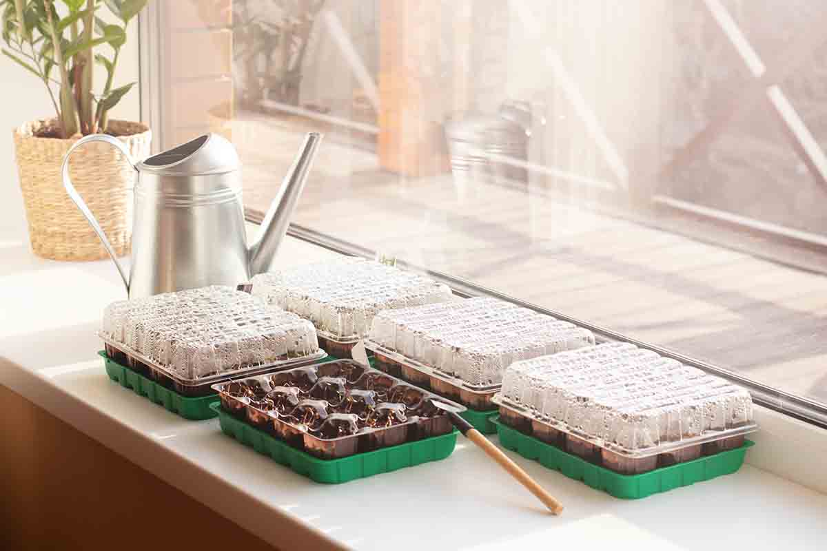 Come creare una serra indoor