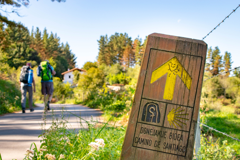 Buen Camino, il viaggio che ripercorre il film di Checco Zalone