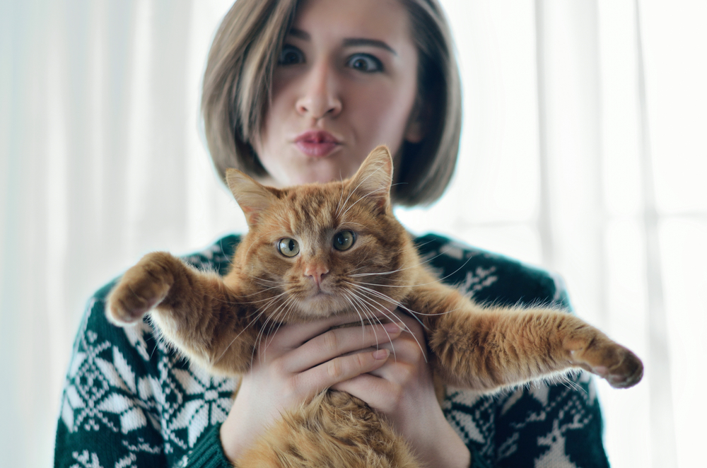 C'è un modo per gestire un gatto maleducato?