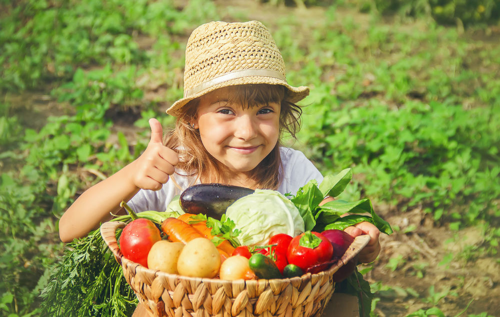 Dieta dei bambini, i contorni con le verdure che mangeranno sicuramente