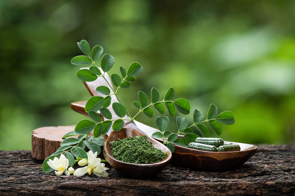 Polvere di Moringa, benefici e rischi per la salute