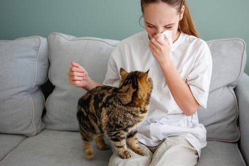 Allergia ai gatti: sintomi e cura