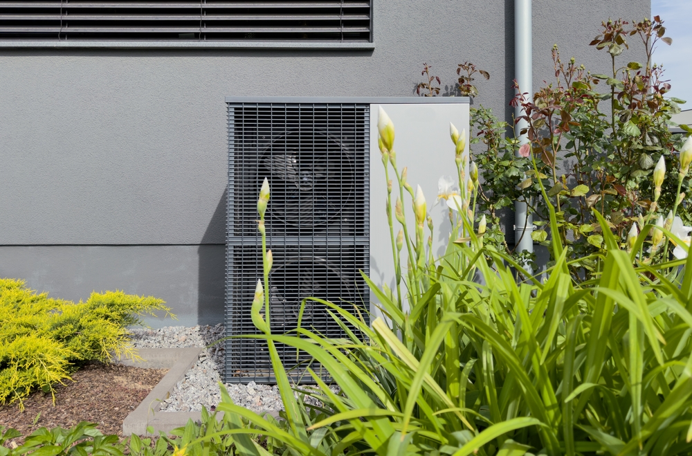 Come utilizzare le acque reflue nel giardino in modo sicuro