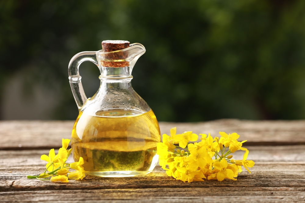 L'olio di canola fa bene alla salute?