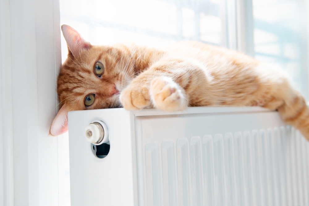 Consigli per la manutenzione dopo lo spegnimento dei termosifoni