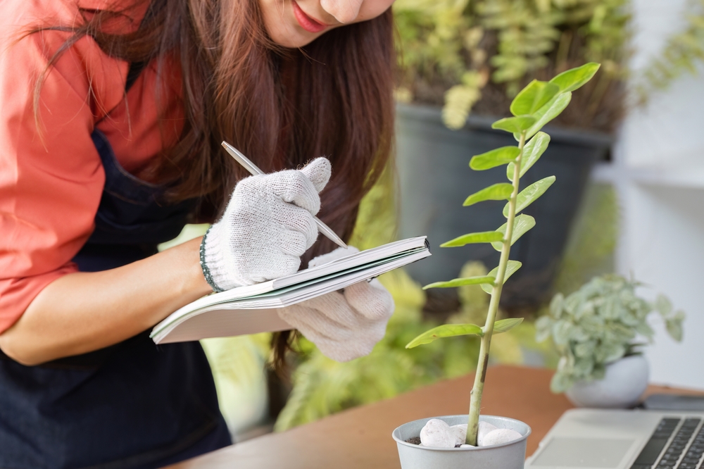 Come e perché tenere un diario del giardino