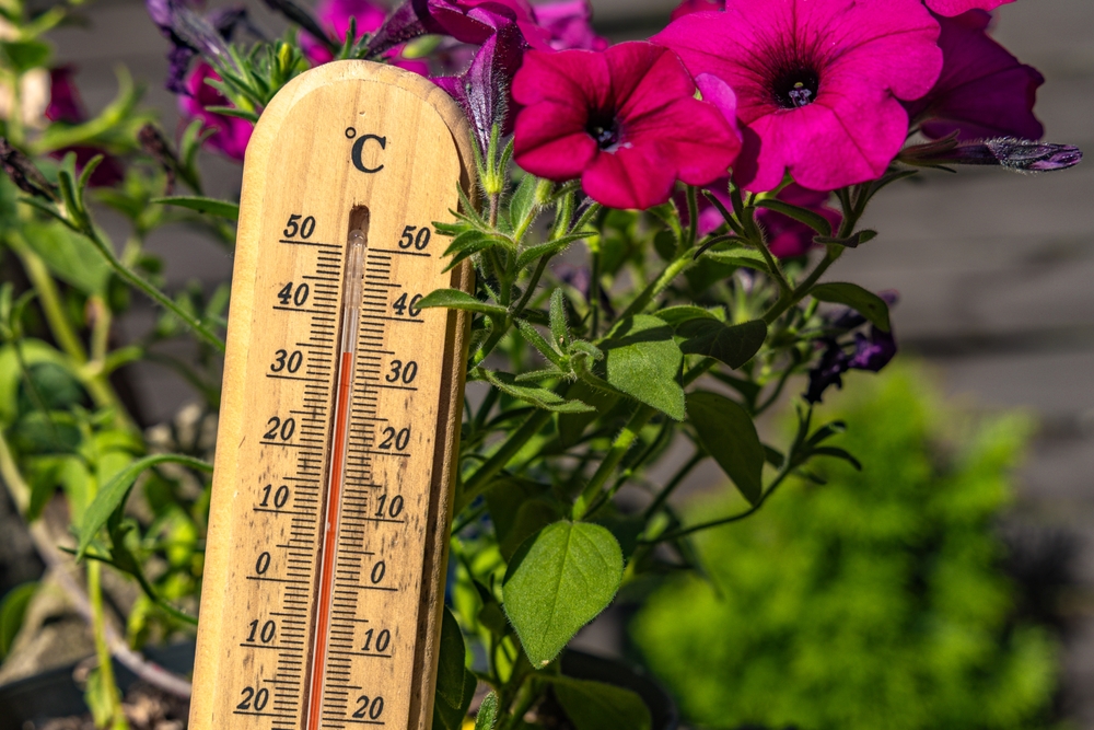 Come proteggere i giardini dal caldo estremo