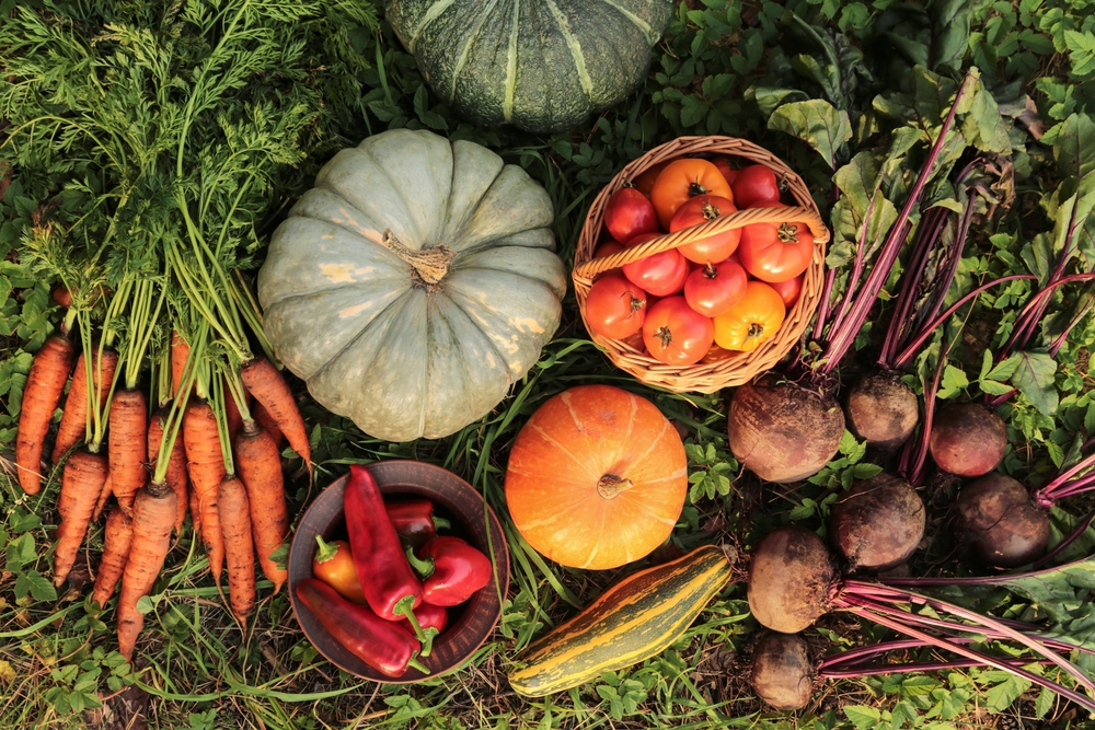 La frutta e verdura di stagione in autunno da portare in tavola