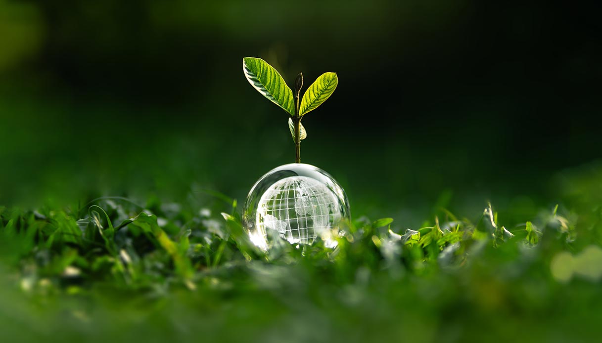 Come iniziare uno stile di vita più sostenibile: da dove partire?