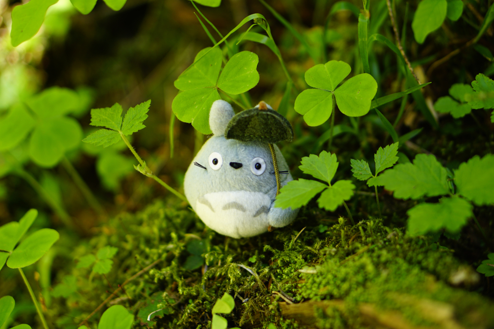 Frasi Studio Ghibli: 10 citazioni tra le più belle e iconiche