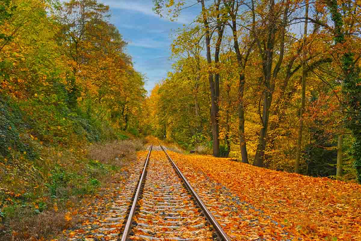 Treni del foliage: i viaggi in Italia e in Europa