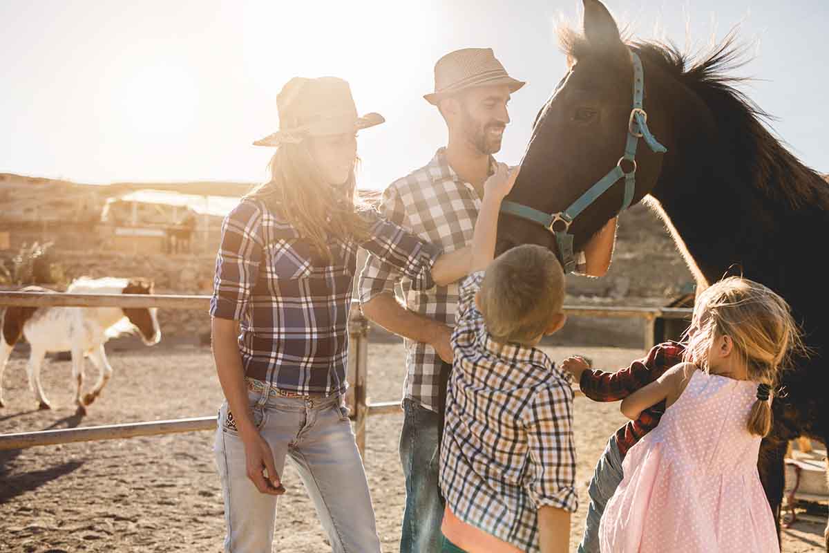 Come organizzare una vacanza in fattoria