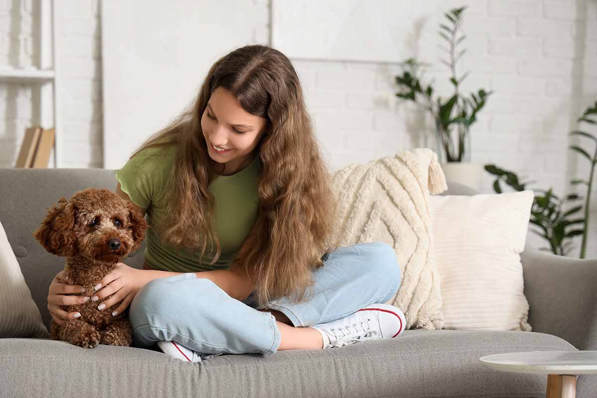 Le piccole cose che solo chi vive con un cane può capire