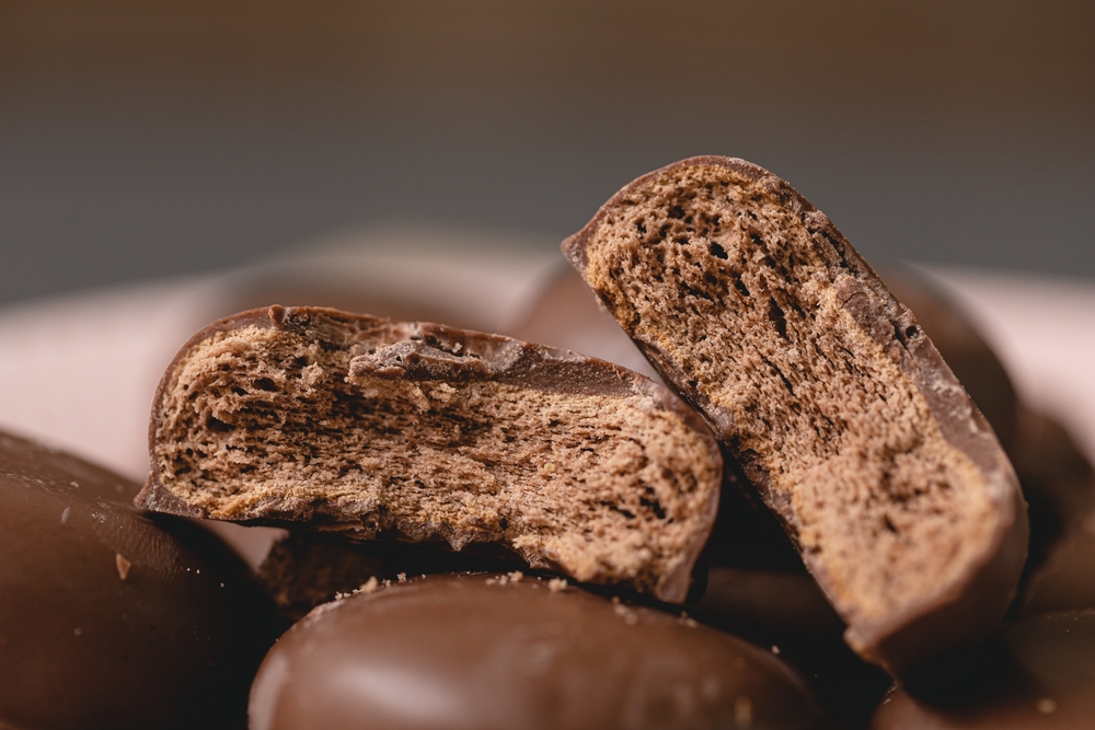 Biscotti di pan di zenzero e cioccolato: la ricetta vegana
