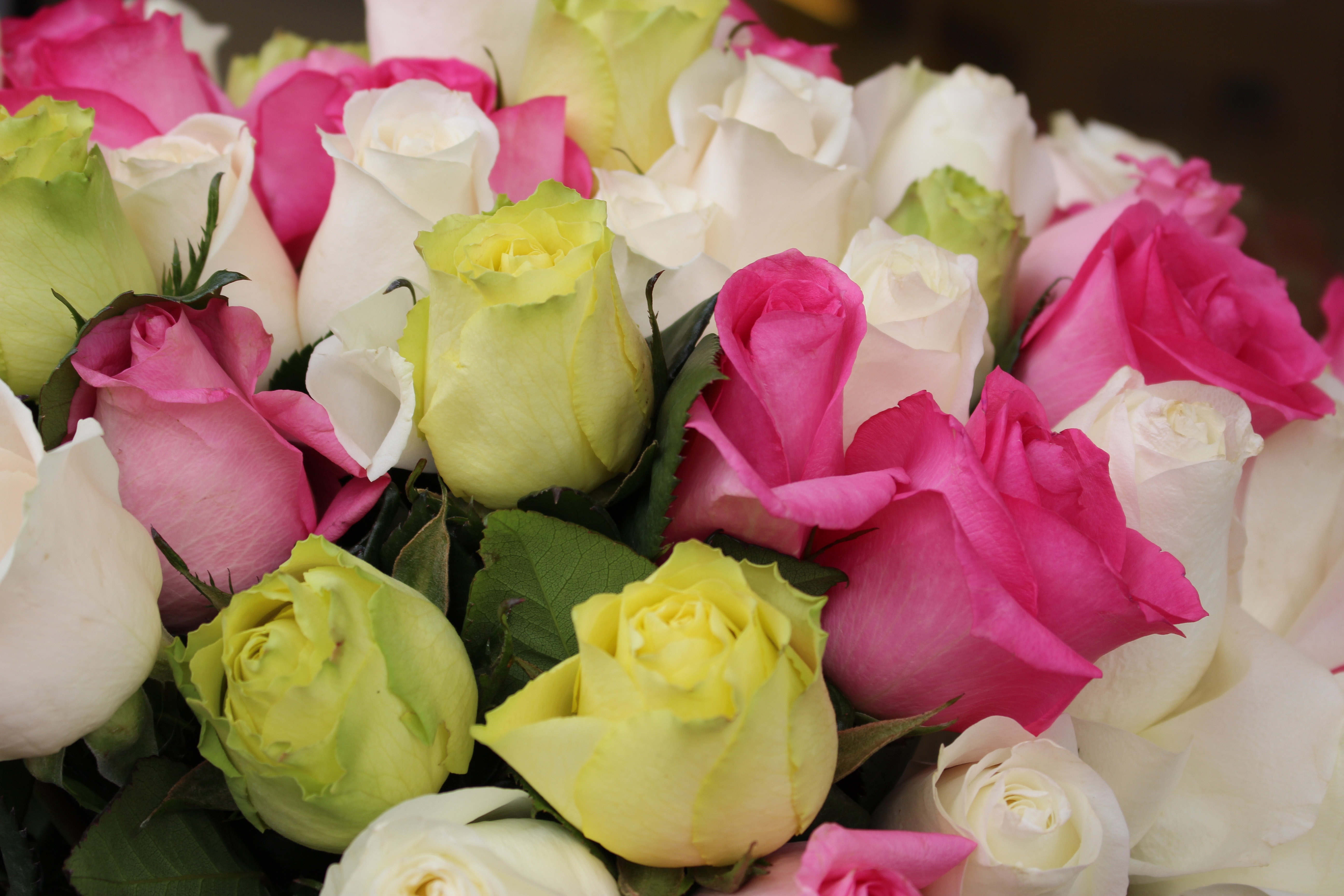 Nozze: qual è il bouquet adatto a te?