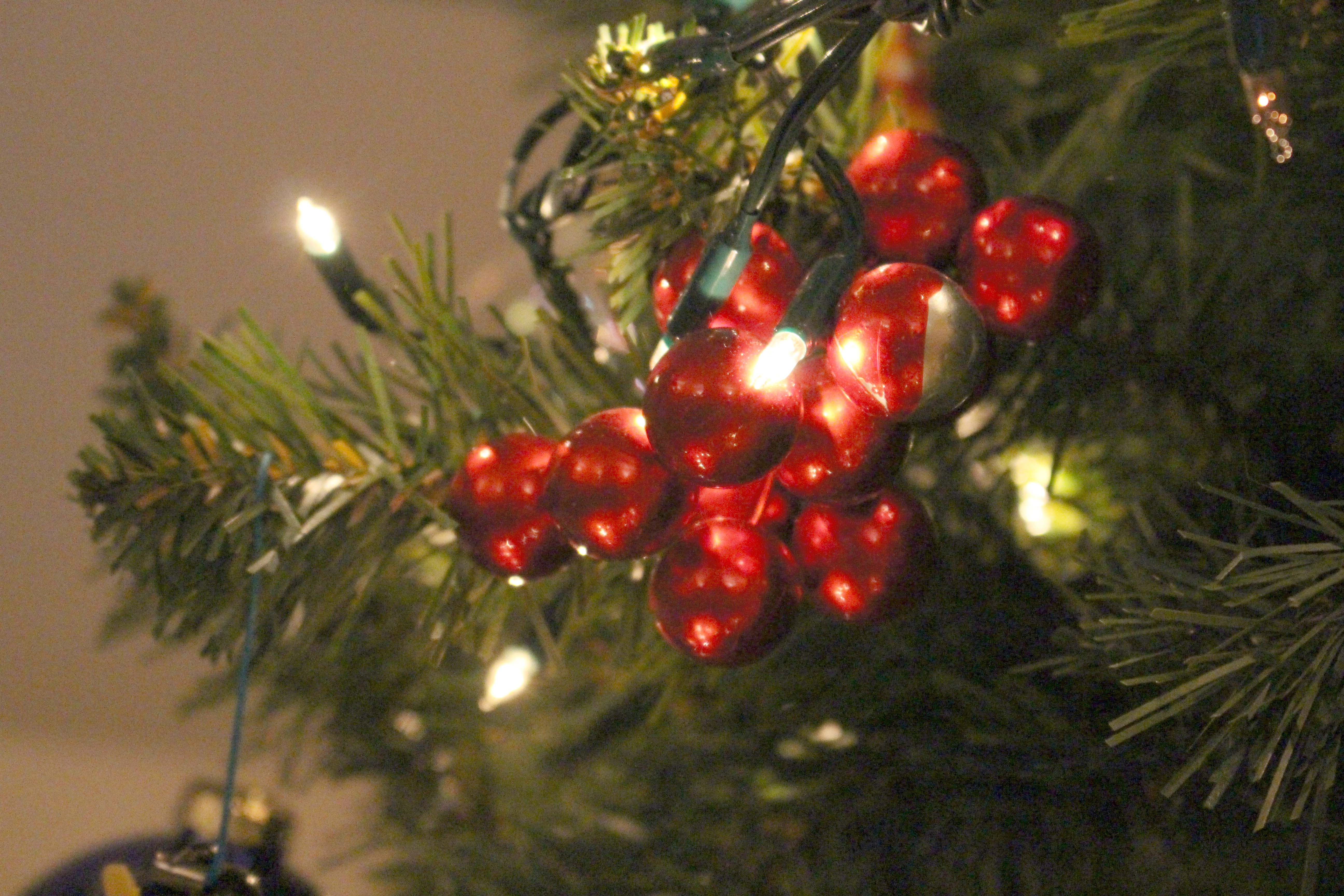 Preparati per il Natale in casa