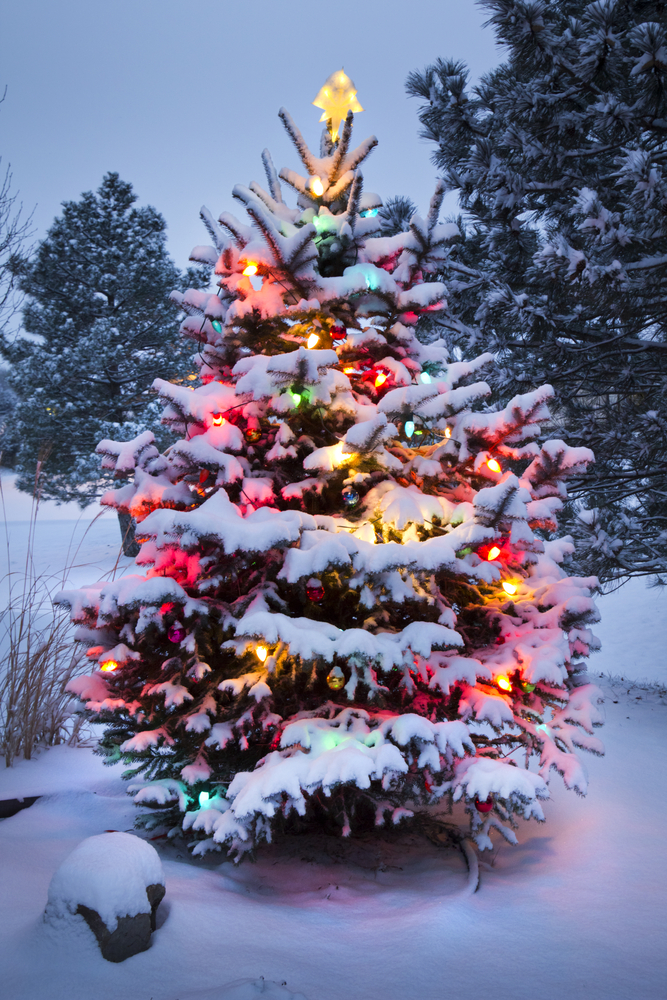 Offerte per un Natale in Trentino Alto Adige all’insegna della tradizione
