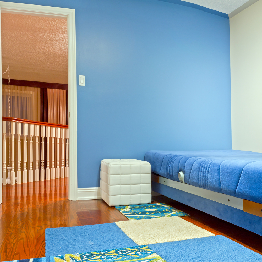 Fantasie bicolor