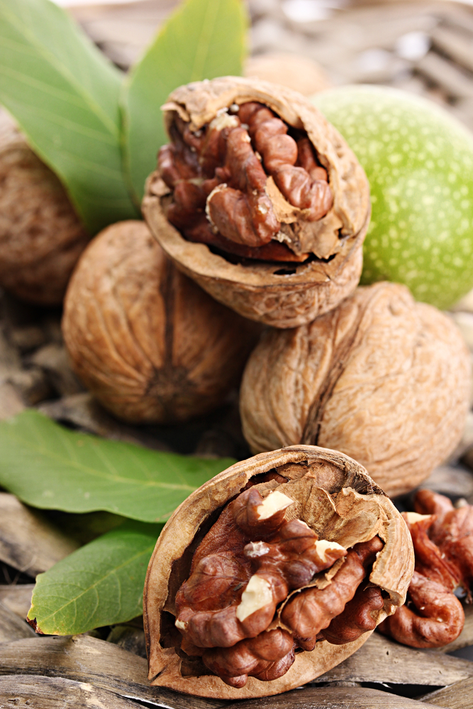 Frutta in guscio per stare in forma