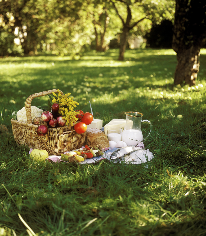 Pic nic a 5 stelle