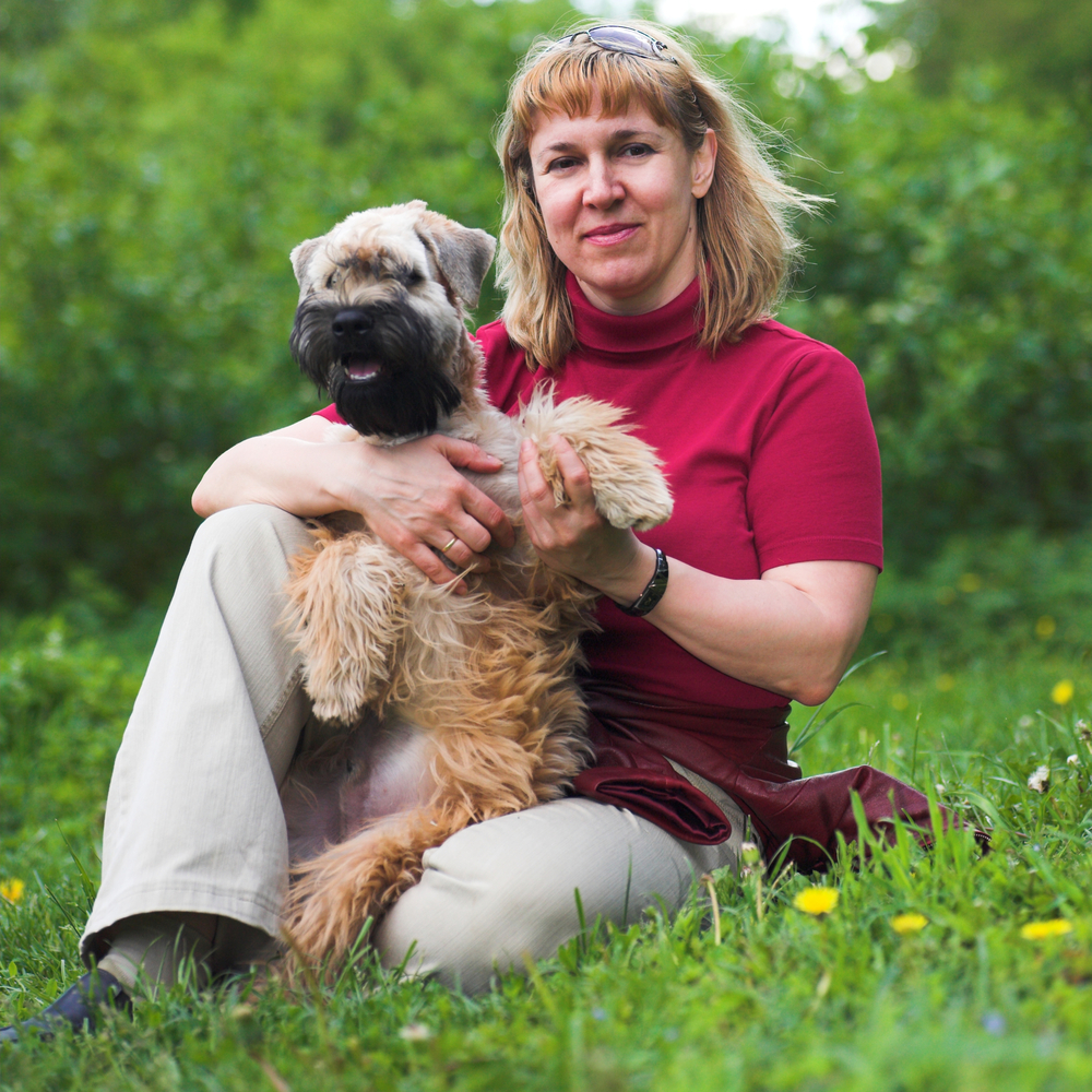 Soft-coated Wheaten Terrier - Terrier