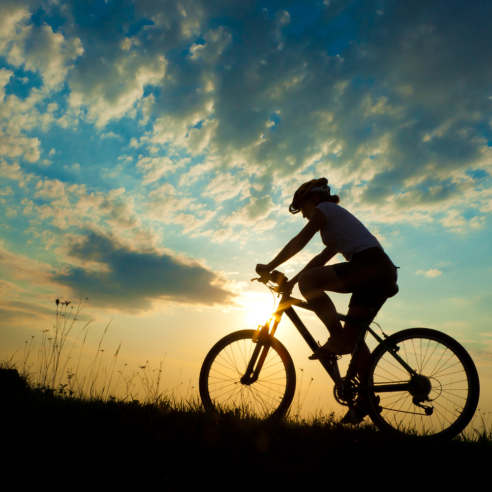 Vacanze in bicicletta