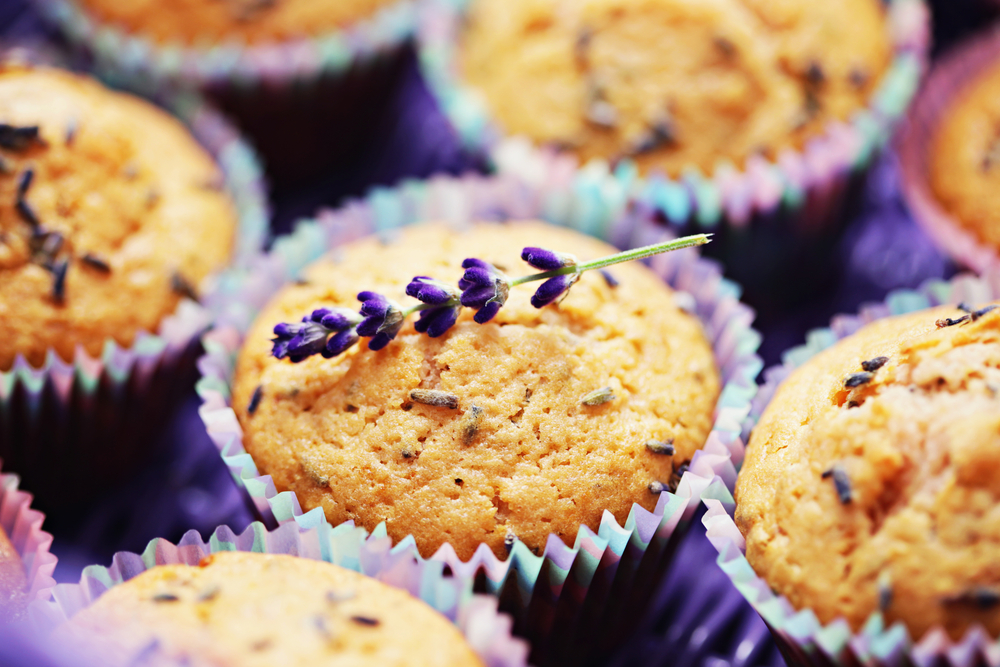 Muffin alla lavanda